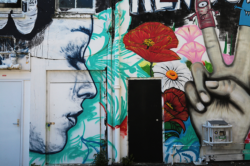 Street Art : New Plymouth : Taranaki : Richard Moore : Journalist : Photographer :